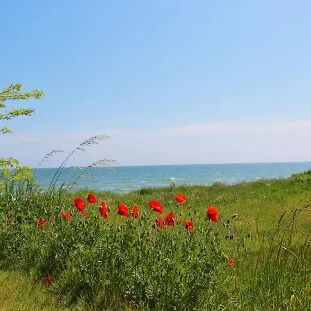 Daire Rex Rugia Fewo15-3 Mit Schwimmbad Und Saunanutzung Im Ahoi-erlebnisbad Sellin *