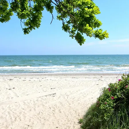 Daire Rex Rugia Fewo15-3 Mit Schwimmbad Und Saunanutzung Im Ahoi-erlebnisbad Sellin